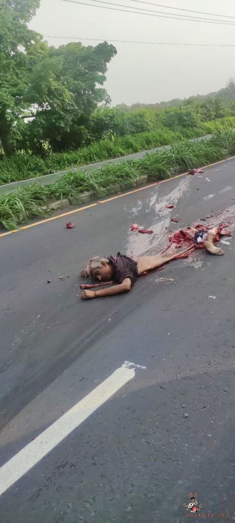Man's body crushed beyond recovery by trucks