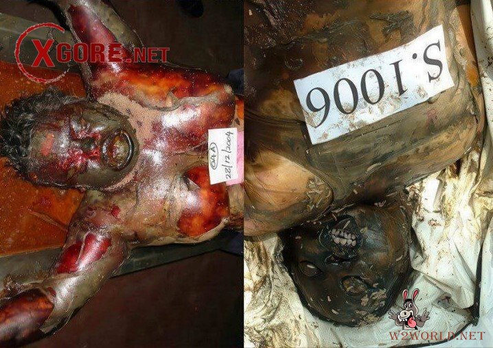 Decomposed Bodies from 2004 Tsunami Resurface in Old Photos