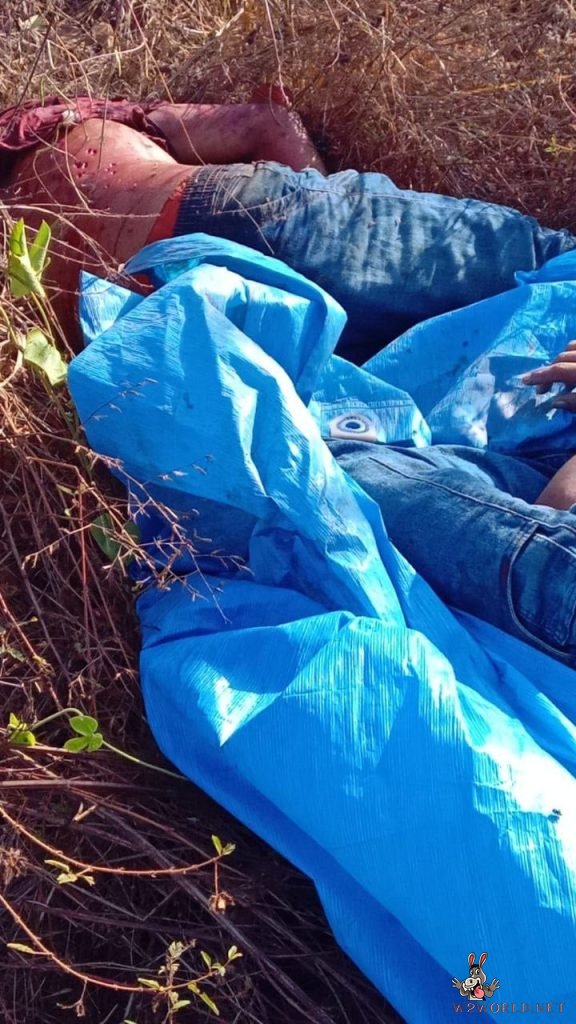 Possible gang retaliation suspected in discovery of four bodies in Maranhão forest