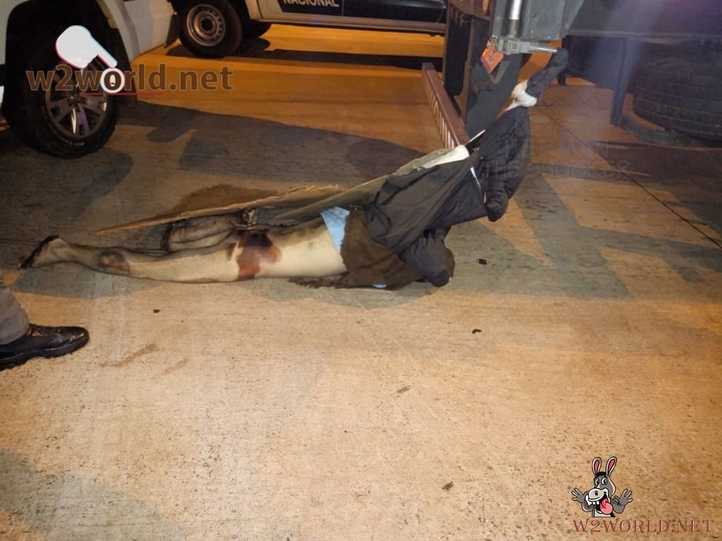 Motorcyclist Dragged 40km by Truck in Fatal Argentina Accident