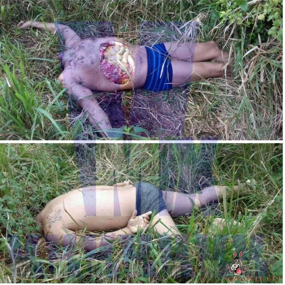 Two beheaded bodies found in Sayula