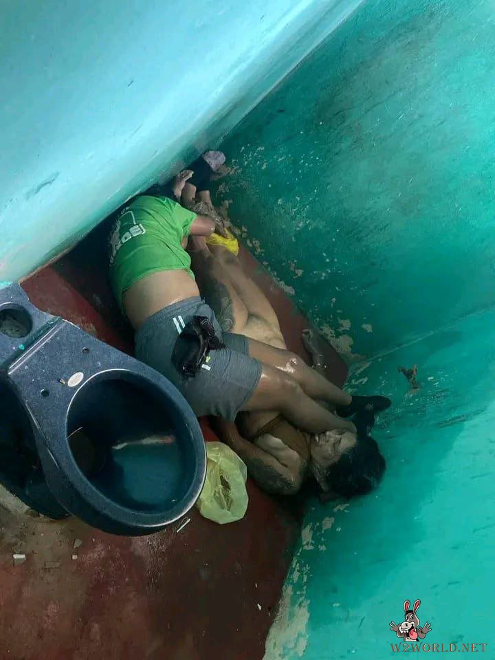 Discovery of Brutally Executed Men and Women in House