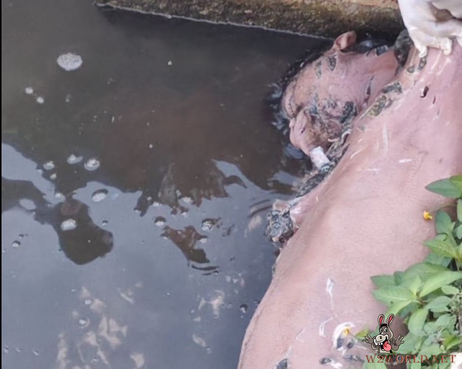 Body Recovered from Las Ilusiones Lagoon After Crocodile Attack
