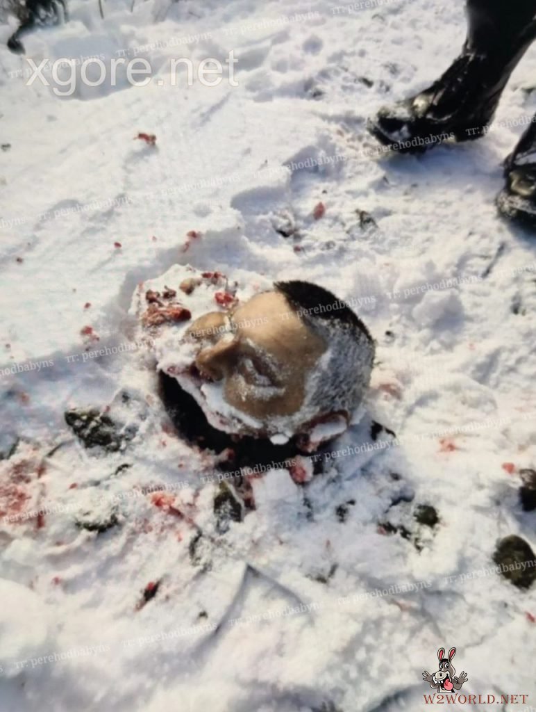 Romanian Man Commits Suicide by Decapitation on Train Tracks