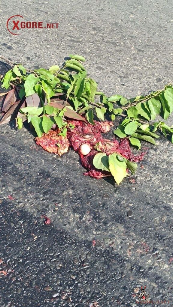 Fatal Motorcycle Accident in Cuyotenango, Suchitepéquez, Guatemala