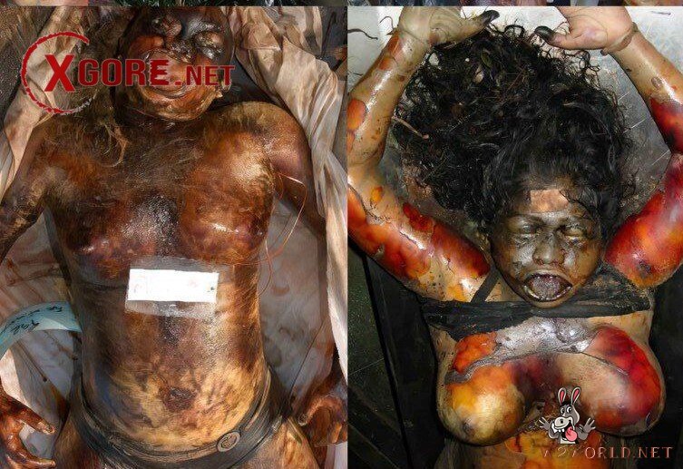 Decomposed Bodies from 2004 Tsunami Resurface in Old Photos
