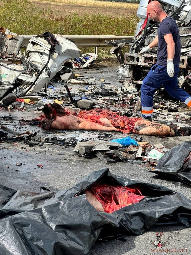 Truck collision kills five workers