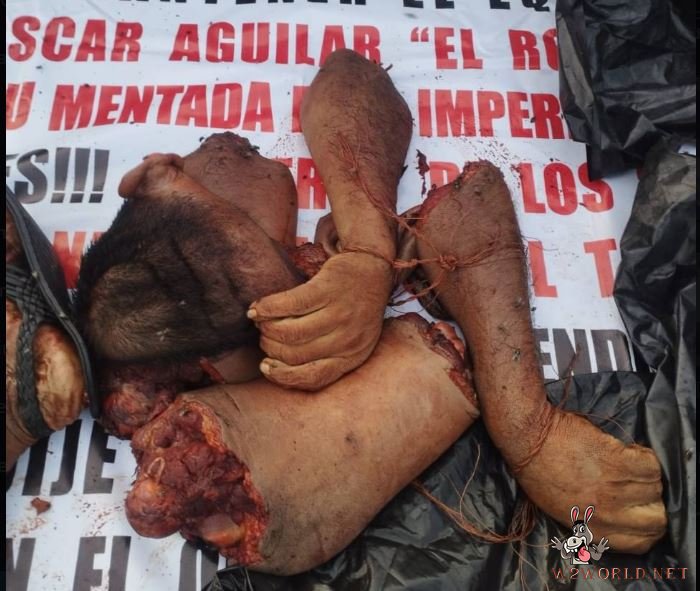 Dismembered body with skinned head found near gang message