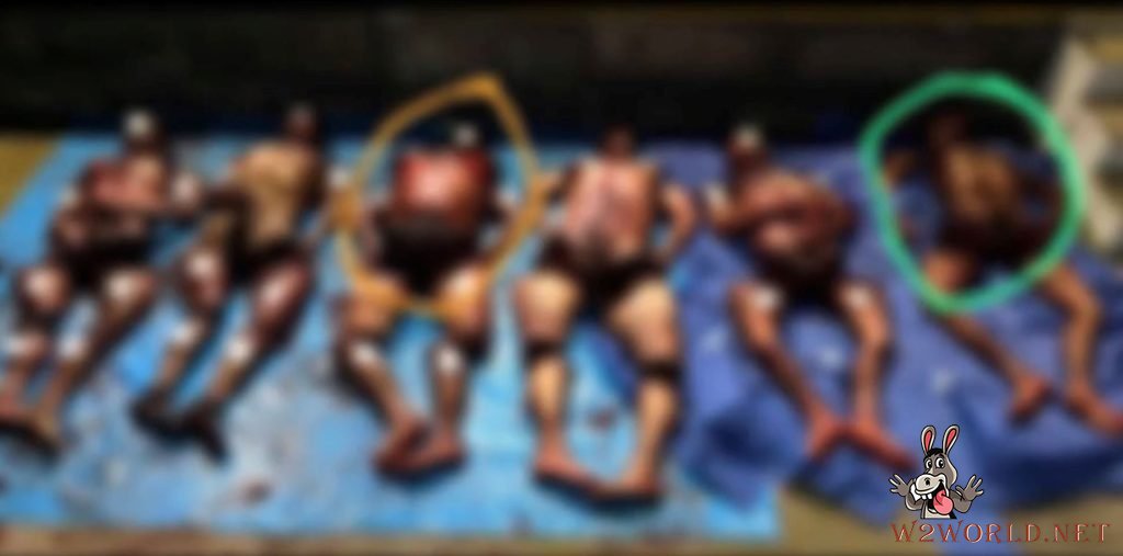 Photos of victims dismembered or beheaded in Mexico's gang wars