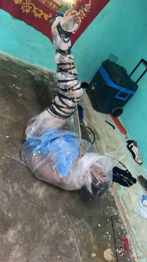 Discovery of Brutally Executed Men and Women in House