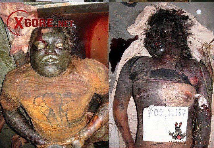 Decomposed Bodies from 2004 Tsunami Resurface in Old Photos