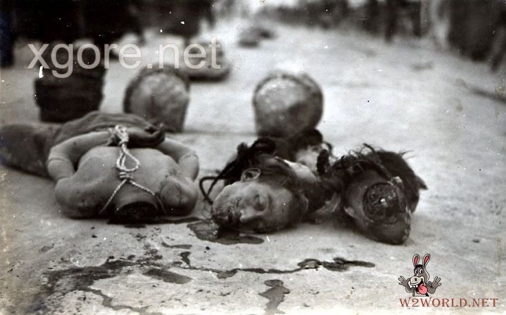 Classic Decapitation Cases: A Gruesome Examination