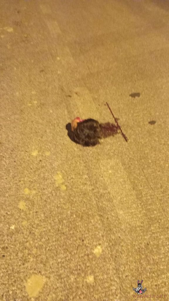19-Year-Old Man Beheaded in Accident