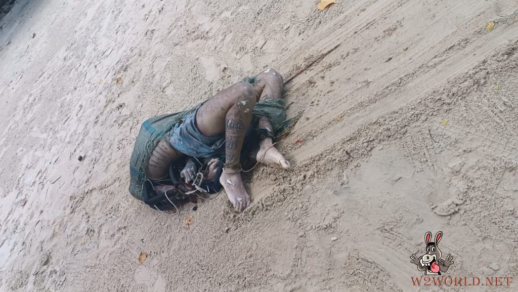Man's beheaded body found on beach