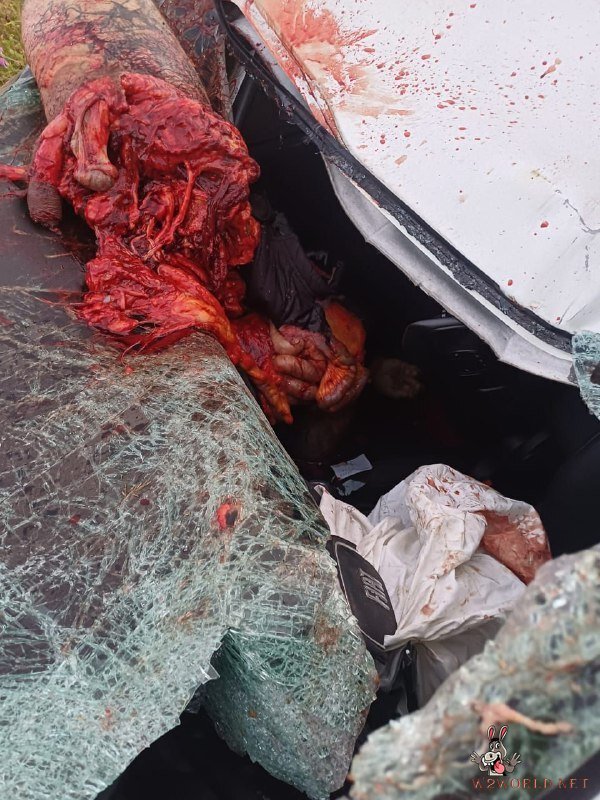 Motorcyclist torn apart in accident