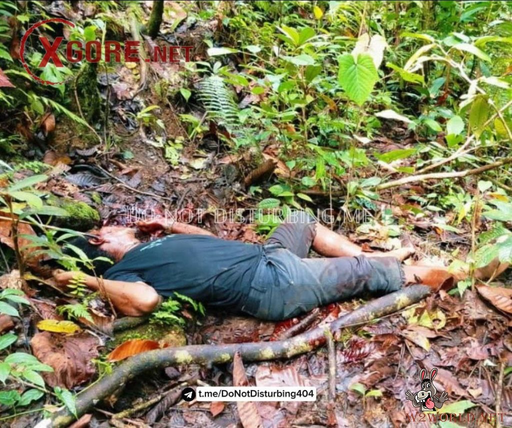 Indonesian Military Denies KKB Claim of Killing 11 Soldiers in Papua