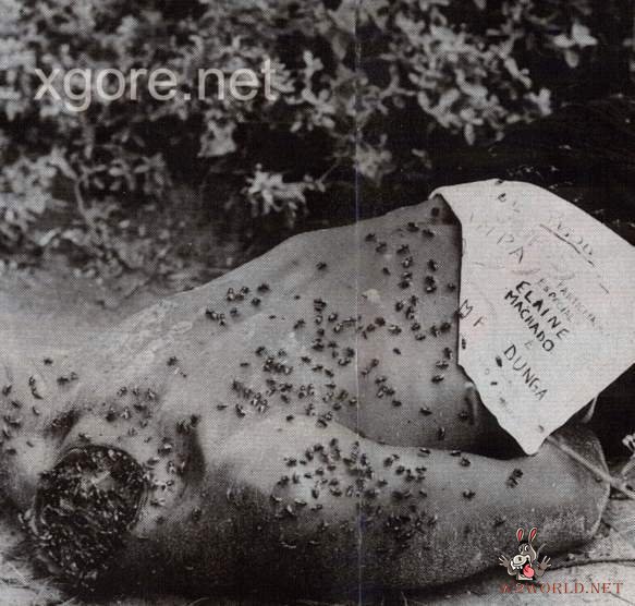 Classic Decapitation Cases: A Gruesome Examination