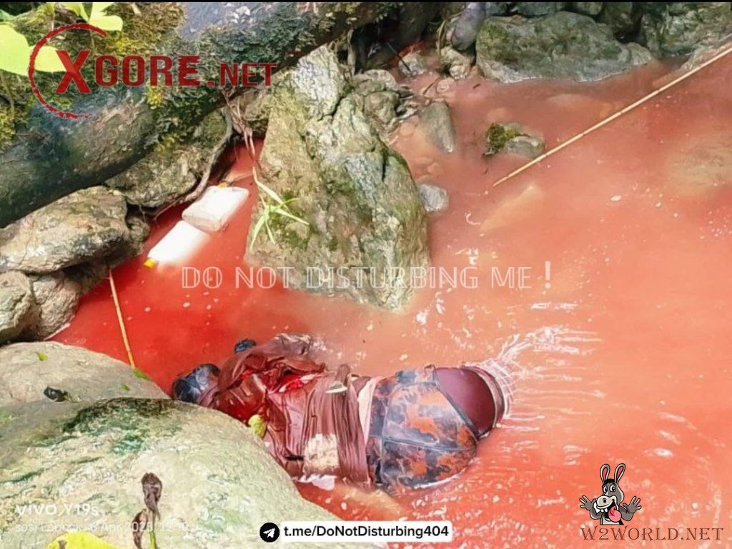 Indonesian Military Denies KKB Claim of Killing 11 Soldiers in Papua