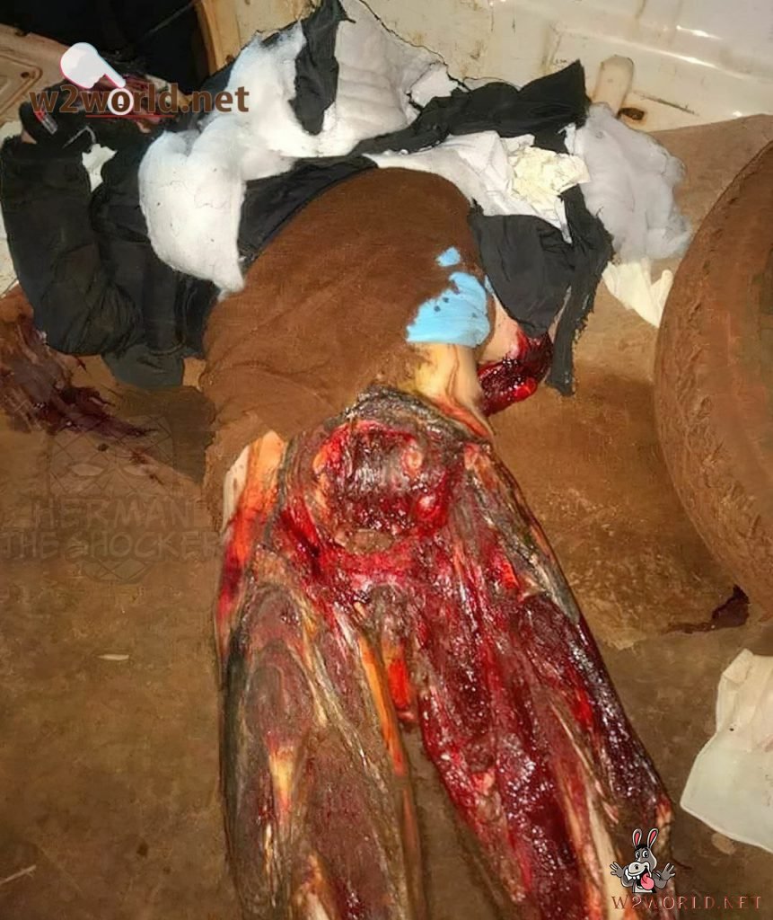 Motorcyclist Dragged 40km by Truck in Fatal Argentina Accident