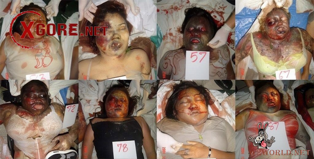 Decomposed Bodies from 2004 Tsunami Resurface in Old Photos