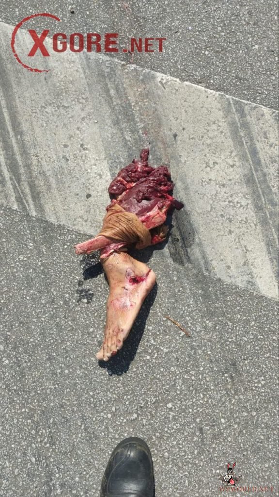 Man's Mangled Body Found on Windshield After Brazil Car Accident