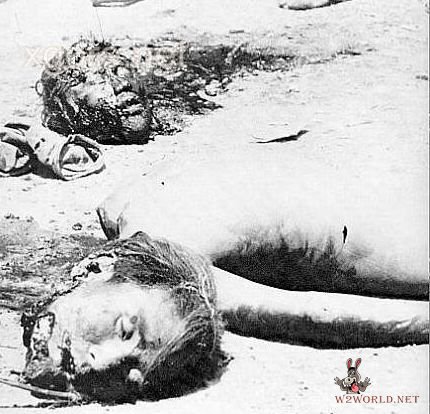 Classic Decapitation Cases: A Gruesome Examination