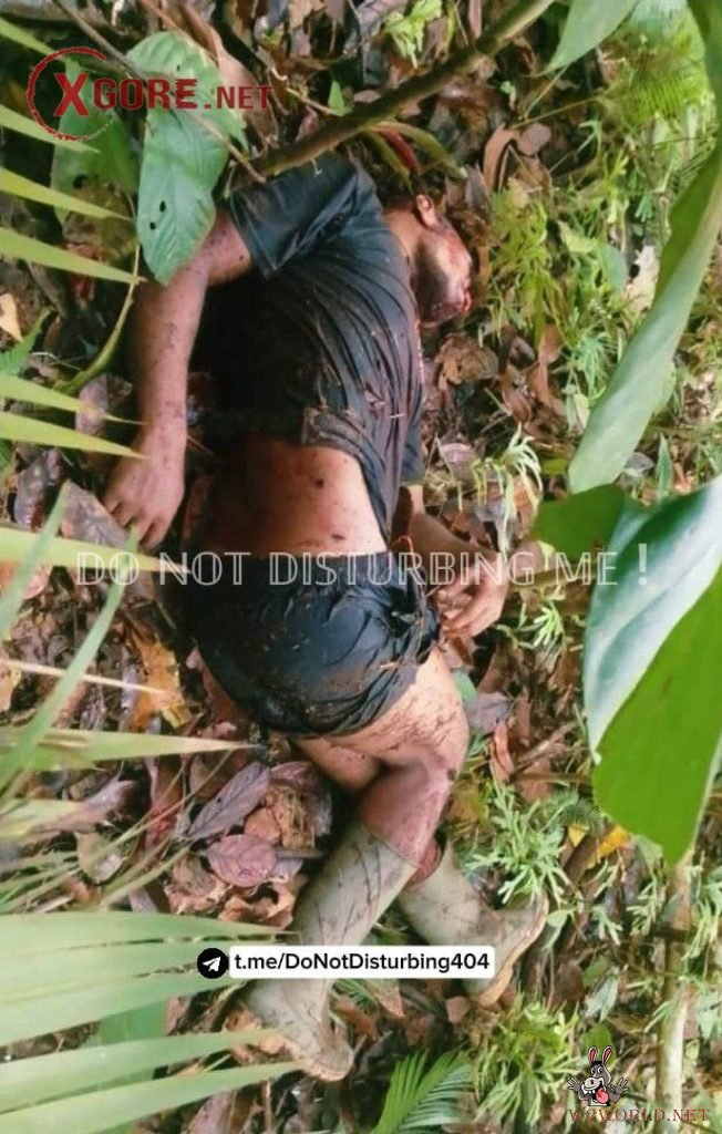 Indonesian Military Denies KKB Claim of Killing 11 Soldiers in Papua