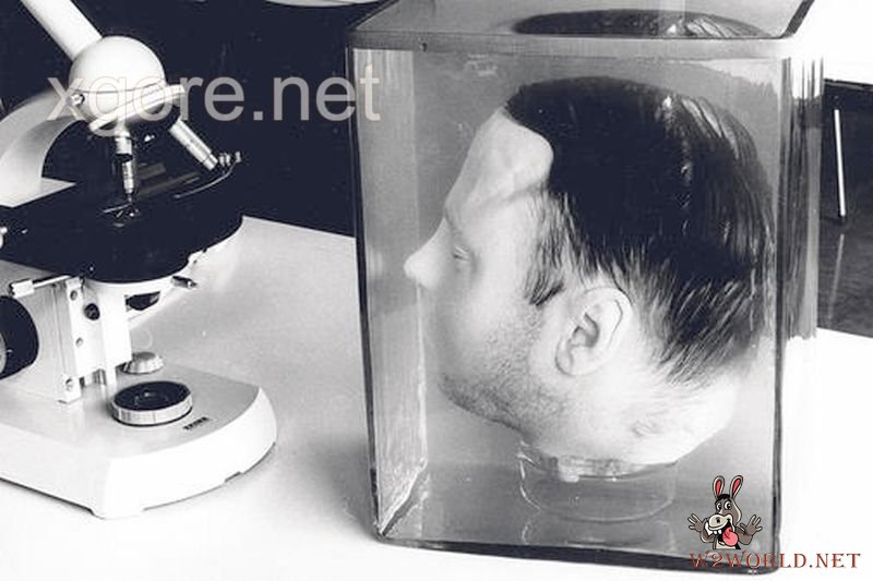 Classic Decapitation Cases: A Gruesome Examination