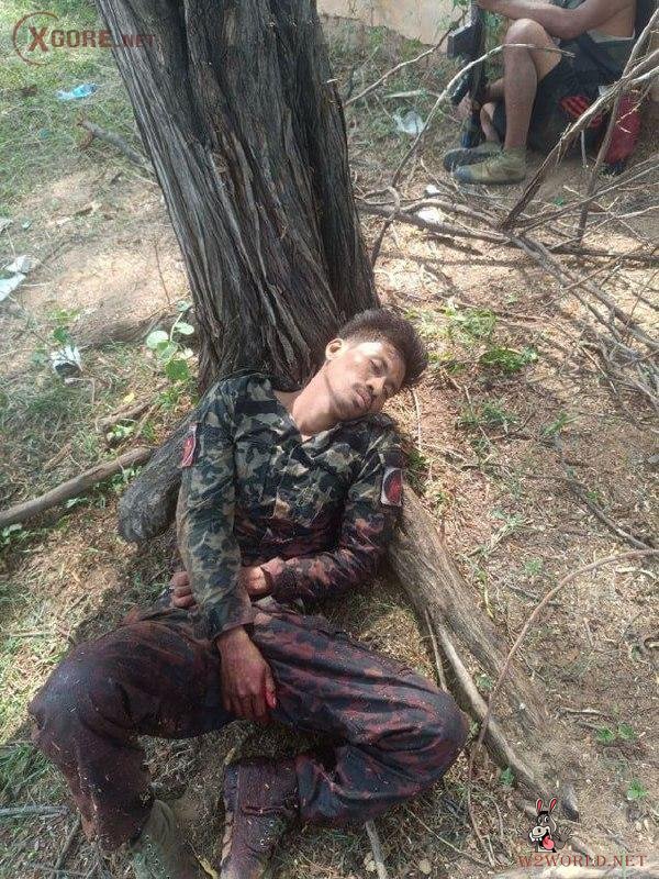 Three PDF members killed in clash with Kyauk Uy Village militia