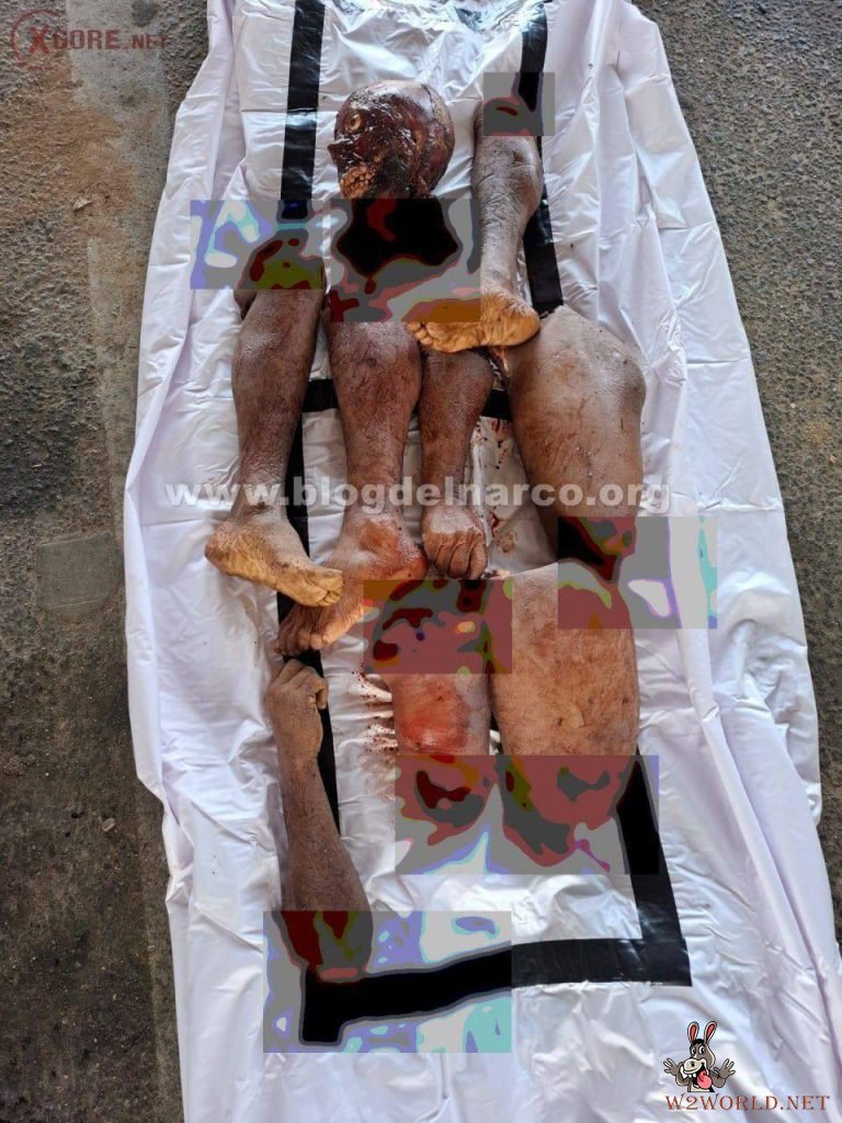 CJNG Leaves Dismembered Bodies and Threats in Acapulco