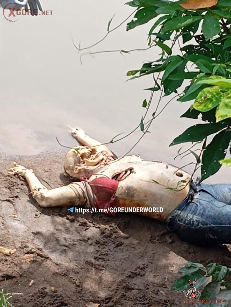 Woman's decomposing body found in Cesar River Canal near Los Pondores, La Guajira
