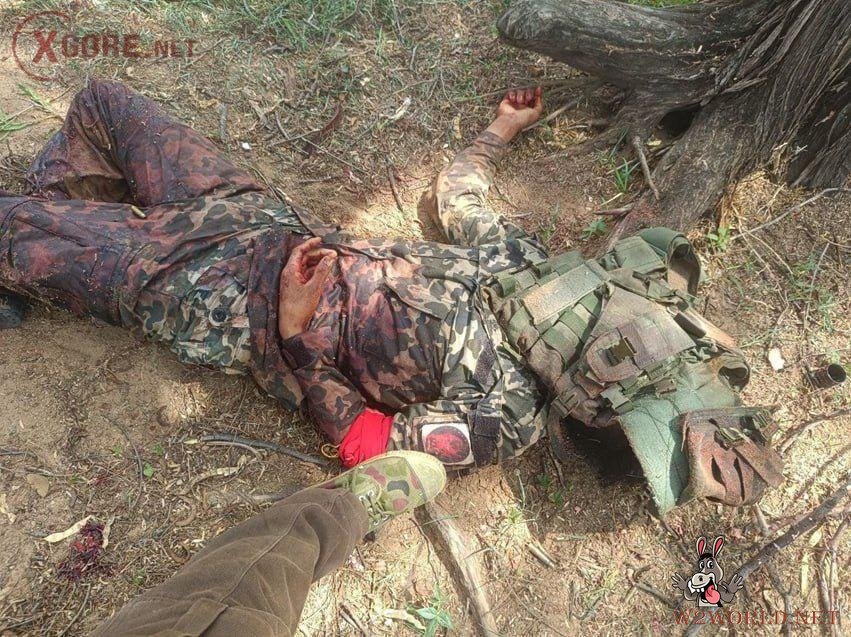 Three PDF members killed in clash with Kyauk Uy Village militia