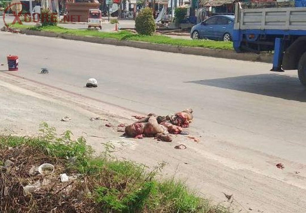 Cambodian man crushed in truck accident