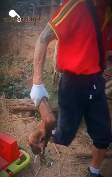 He collected a severed arm