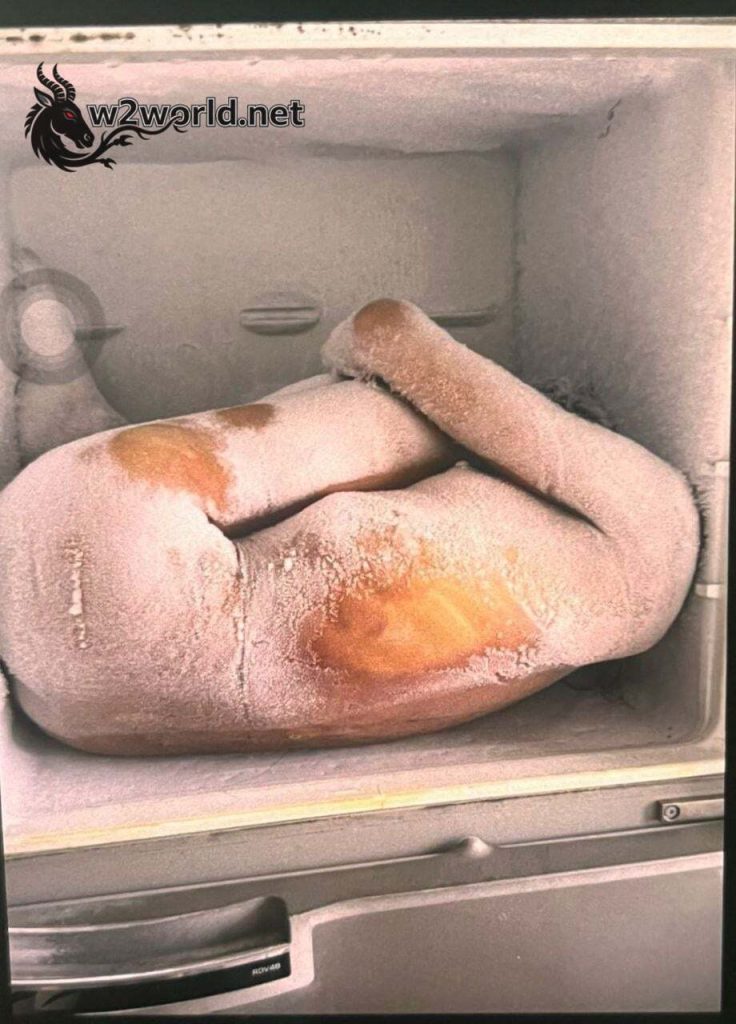 Body of 23-Year-Old Manuela V.M.S. Found in Freezer with Stab Wounds in Vitória da Conquista, Bahia, Brazil