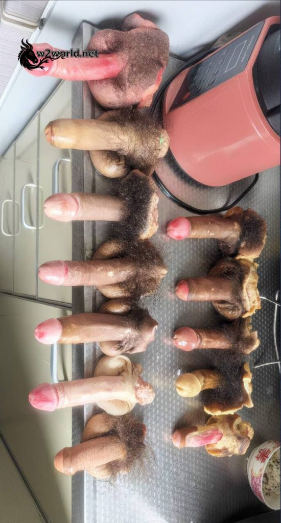 A bizarre collection by a man obsessed with severed penises in China 02