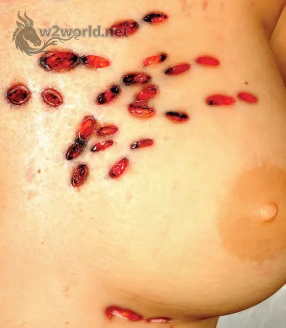 Erotophonophilia: When Desire Turns Deadly in Chicago Lust Murder 03