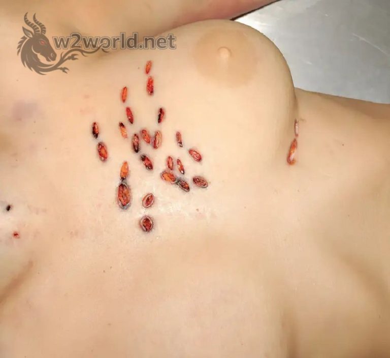 Erotophonophilia When Desire Turns Deadly In Chicago Lust Murder erotophonophilia-when-desire-turns-deadly-in-chicago-lust-murder
