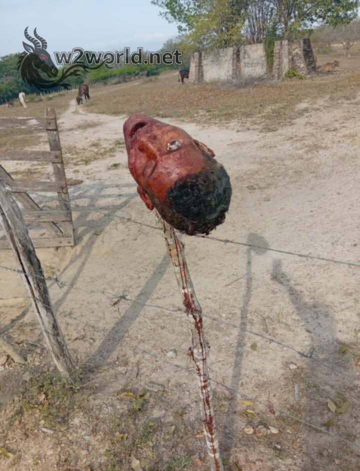 Decapitated Body of Young Man Jair B. Found in Aracataca, Colombia – Head Impaled on Fence Post 01