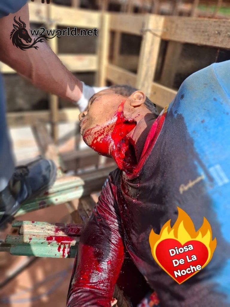 Workplace accident - man's throat slashed to death. 02