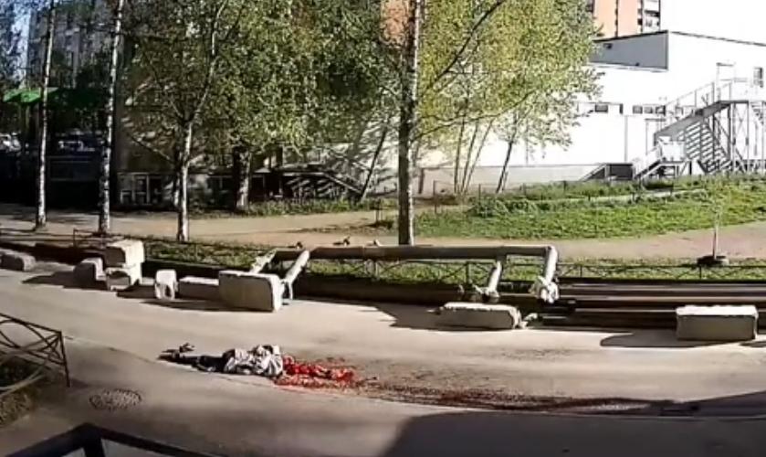 An elderly woman was crushed by a garbage truck