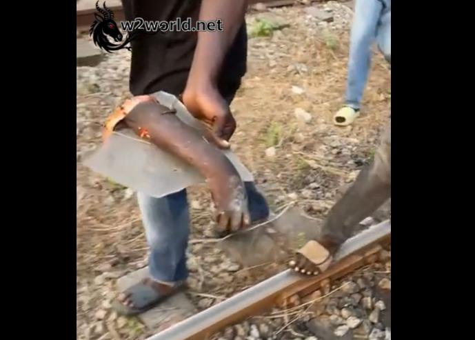 A severed arm is being carried away