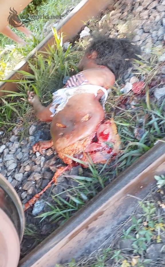 Woman Cut in Half by Train After Dropping Phone on Tracks in Mangaratiba 04