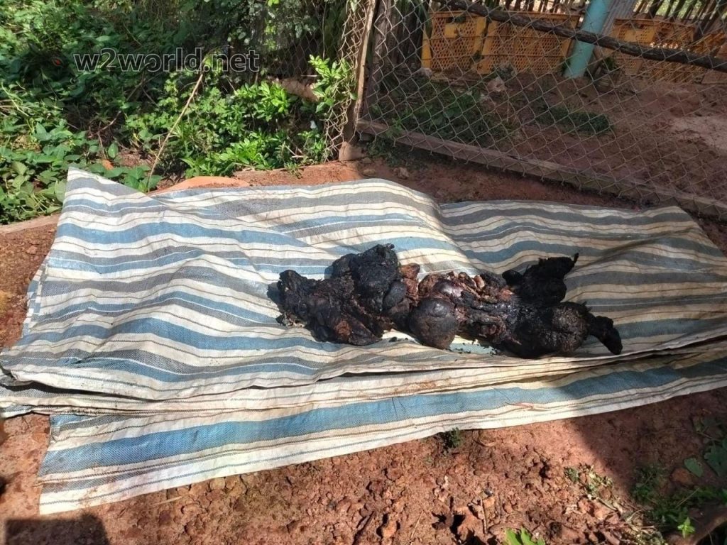 Cambodian Man Dies After Setting Himself Ablaze in House Fire 01