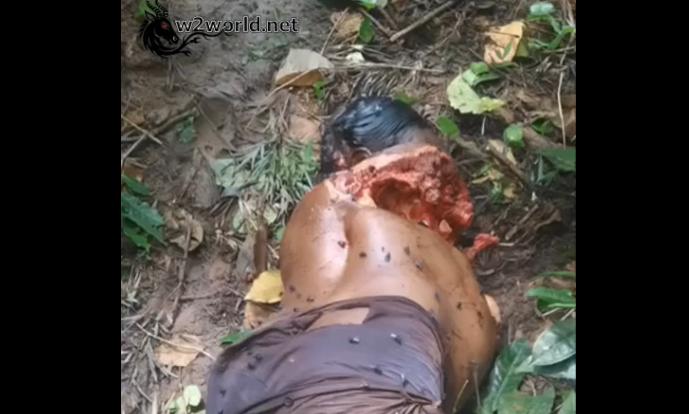 A man was killed and eaten by a tiger